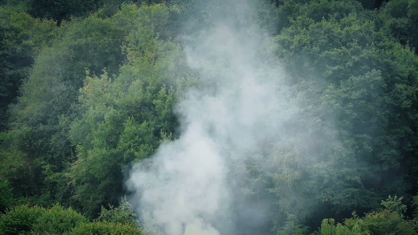 Smoke Rising Near Trees