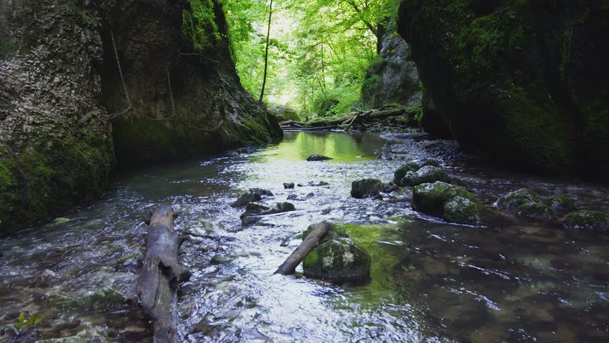 Galbena river and gorge in Apuseni natural reserve, Romania