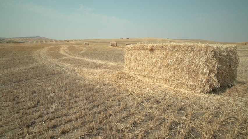 Bales of Hay, Washington State 4K. UHD. Bales of wheat dot a country field in eastern Washington. 4K. UHD.

