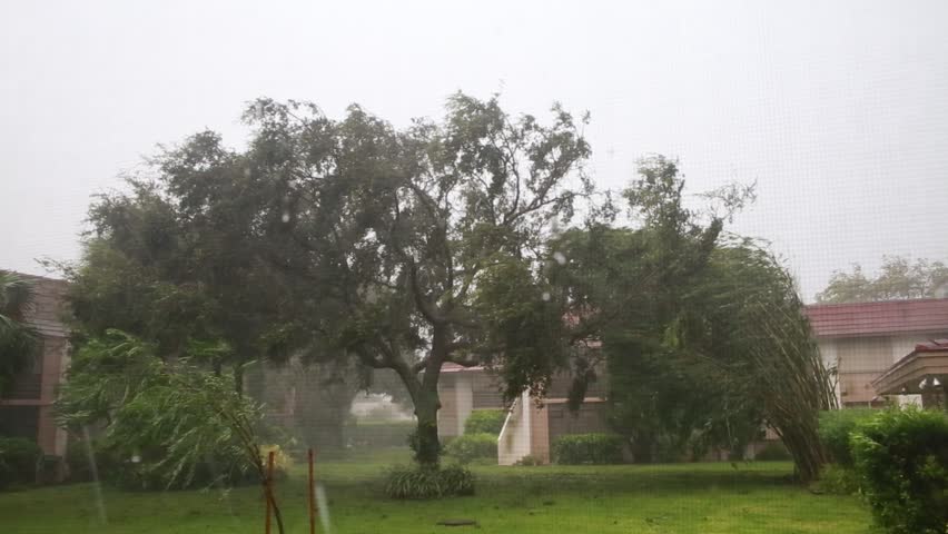 Hurricane Matthew Early Gust in Courtyard of Condominium Complex in Boca Raton, Florida
