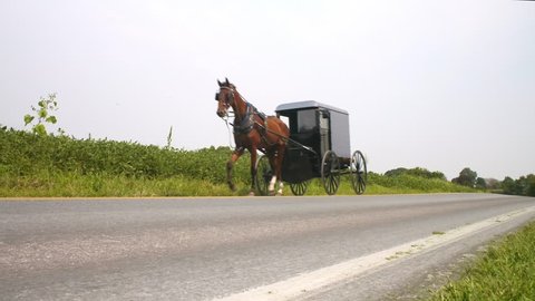 An Amish horse drawn buggy travels down a lonely road in Lancaster County, Pennsylvania.