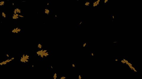 4K Leaves Fall Overlay Element Background for different projects...