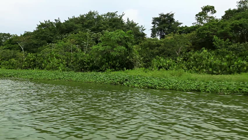 Limoncocha lagoon, natural reserve in Ecuador