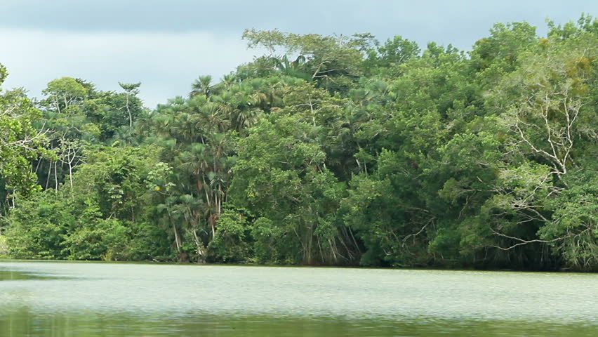 Beautiful day on the Napo river, shot from the canoe, includes audio, engine