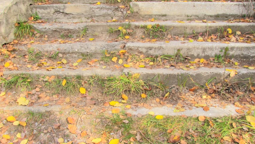 old step in the autumn garden