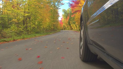 CLOSE UP Black car driving on empty road full of fallen leaves past colorful trees on autumn day. Detail of car tire spinning while driving through bright autumn forest in sunny fall. Car tyre rolling