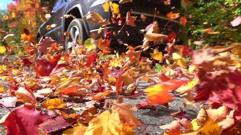 SLOW MOTION CLOSE UP: Black SUV car driving on empty forest road over bright autumn leaves. Colorful fall foliage dancing behind a car driving over on forest road. Car swirling beautiful autumn leaves
