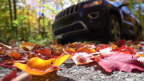 SLOW MOTION CLOSE UP: Black SUV car driving along an empty forest road, over vivid fallen autumn tree leaves in fall. Black car driving through beautiful autumn forest, swirling colorful leaves.