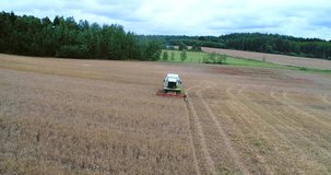 Combine harvester, Cinema 4k aerial backward view infront of a green threshing machine, turning on a wheat field, on a cloudy autumn day, in Uusimaa, Finland 