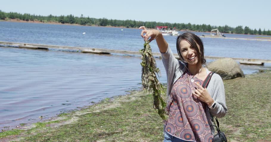 Women holding handful of seaweed on shore