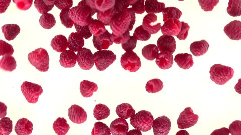 Raspberries. Ripe raspberries falls and rolls on a white table. Slow motion 240 fps. Slowmo. High speed camera shot. Full HD 1080p. 