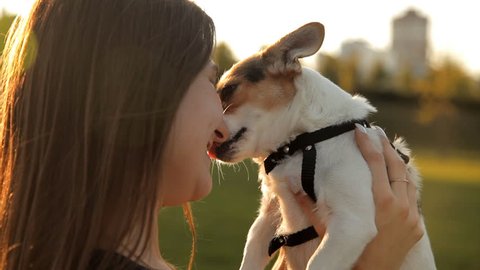 Young girl sits on a lawn in the park and kisses her dog