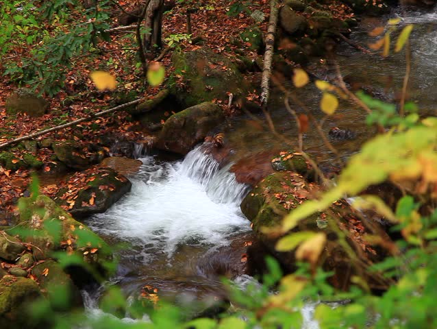Flowing Water in a Creek