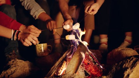 Attractive Multiracial Group Of Young Friends Around Burning Camping Bonfire In The Woods Eating Marshmallows Laughing And Joking Nature Tourism Teen Life Adventure Concept Slow Motion Shot On Red