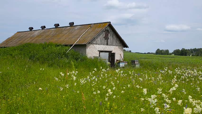 Bee winter house. Hangar for beekeeping.