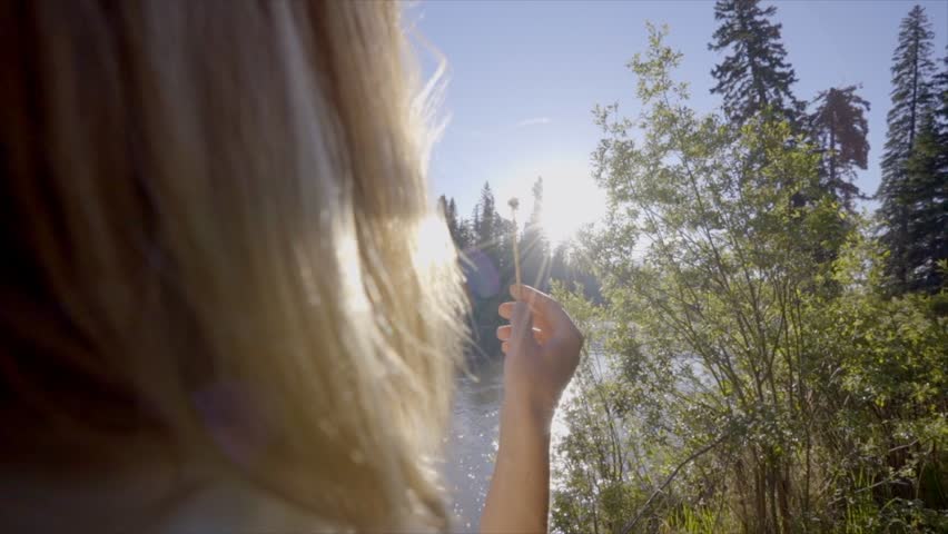 Young blond woman blowing on dandelion flower, shot in slow morion.
Woman surrounded by nature in Canada blowing on flower
