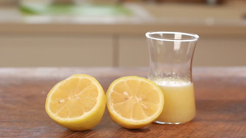 use lemon to clean dog teeth| todocat.com