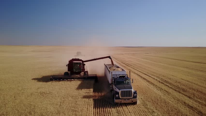 Smooth tracking aerial drone shot of a combine harvester unloading grain into a semi truck trailer in a wheat field while harvesting the crop in Eastern Washington State.  Royalty-Free Stock Footage #30867493
