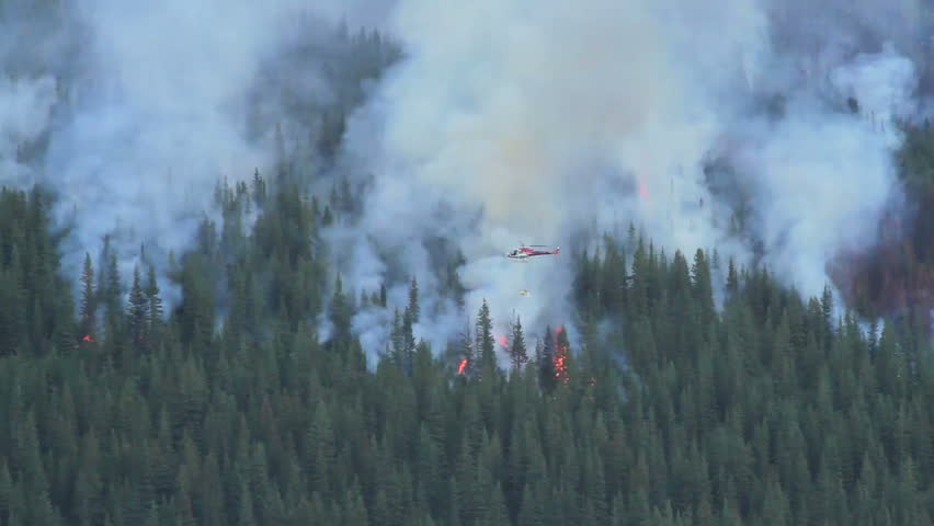 Helicopter at a prescribed forest control burn
