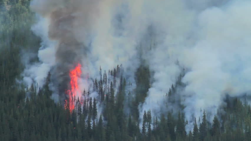 Flames and smoke from a large forest fire in the Rocky Mountains