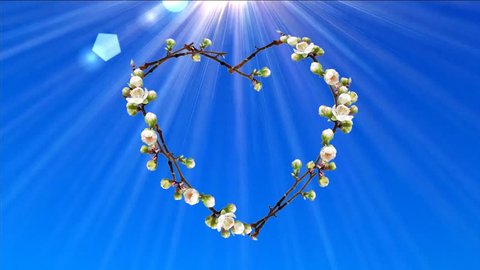 Amazing animated White Flower Hearts with sun shining light for you wedding cards, websites. Nice Spring East On Blue Background for wedding and love story video films, presentation.