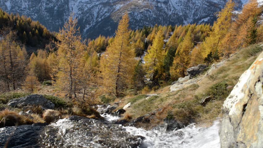 small creek waterfall in Italian Alps mountain durin autumn season with red larches woods. Nature scape outdoor establishing scene
