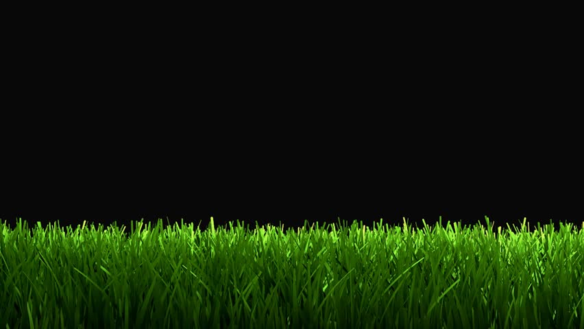 Green grass animation for lower 3rd, matte included.