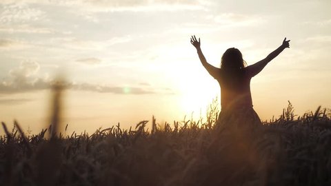 Silhouette Man Raise His Hands Sunset Stock Photo 1938299386 | Shutterstock