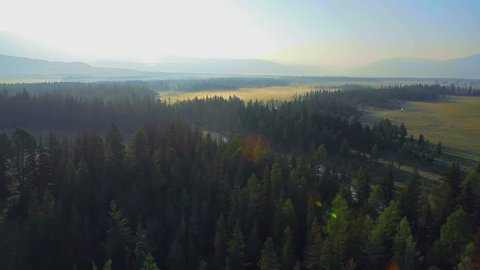 Aerial View. Flying over the beautiful mountain River and beautiful forest. Aerial camera shot. Altai, Siberia.