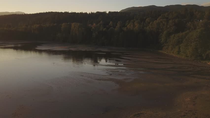 A herd of geese family are floating in the water during a golden spring sunset. Video taken in Shoreline Trail, Port Moody, Greater Vancouver, British Columbia, Canada.  