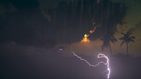 Tropical Palm Trees During Hurricane with Heavy Rain, lightning 