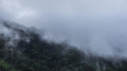 Beautiful View Of Fast Rolling Clouds Drifting Over Crocker Range. Soft Focus,Timelapse. Pahang, Malaysia. 4K UHD.