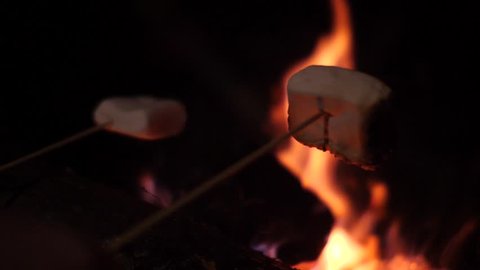 Family roasting marshmallow outdoor fire slow motion video
