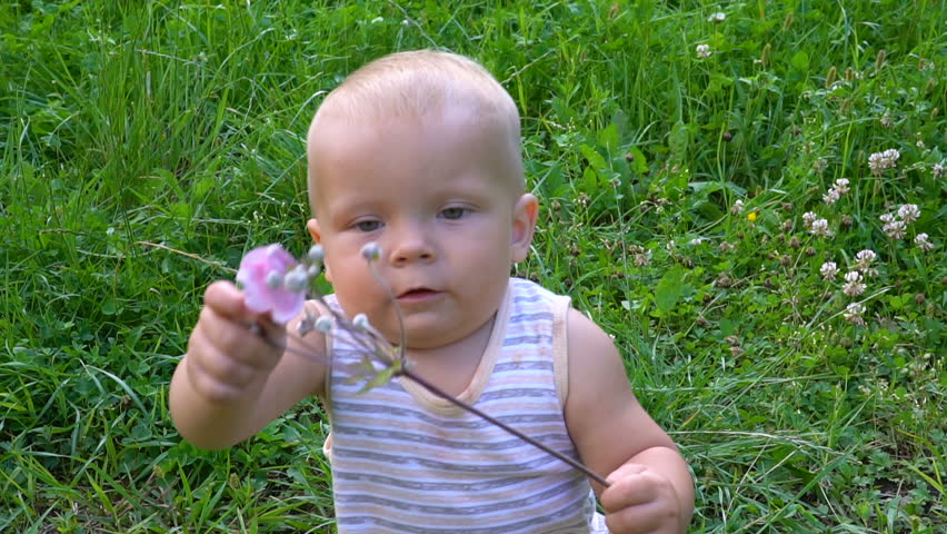 Baby is sitting with a flower in his hands | Shutterstock HD Video #30943561