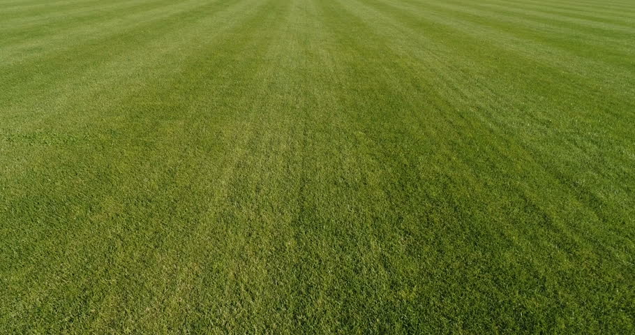 Low flight forward over beautiful green grass meadow