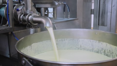 Milk product from the pasteurization tank is poured into a large metal tank