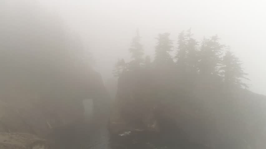 Some rock formations on the foggy Oregon coast