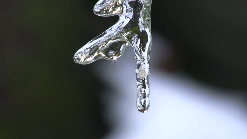 Light reflects through a melting icicle 