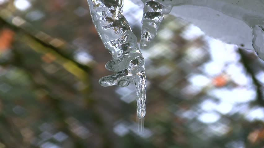 Icicle shaped like a hand with water dripping off