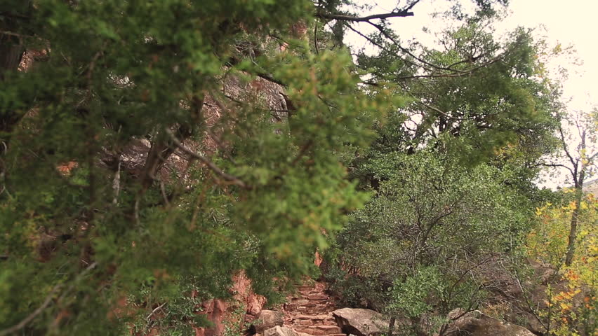 Hiking trail in the mountains of Arizona.