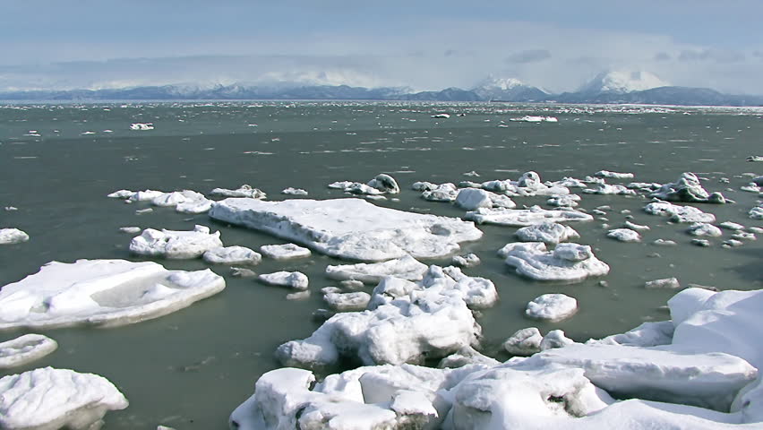 Mid-spring in Kachemak Bay. Ice rafts and chunks float in the emerald waters of