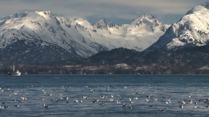 A commercial fishing boat plies the waters of Kachemak Bay on a day of intense