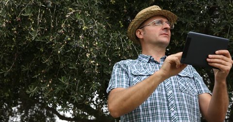 Successful Rancher Man Browsing Digital Tablet Inspecting Olives Trees Gardening