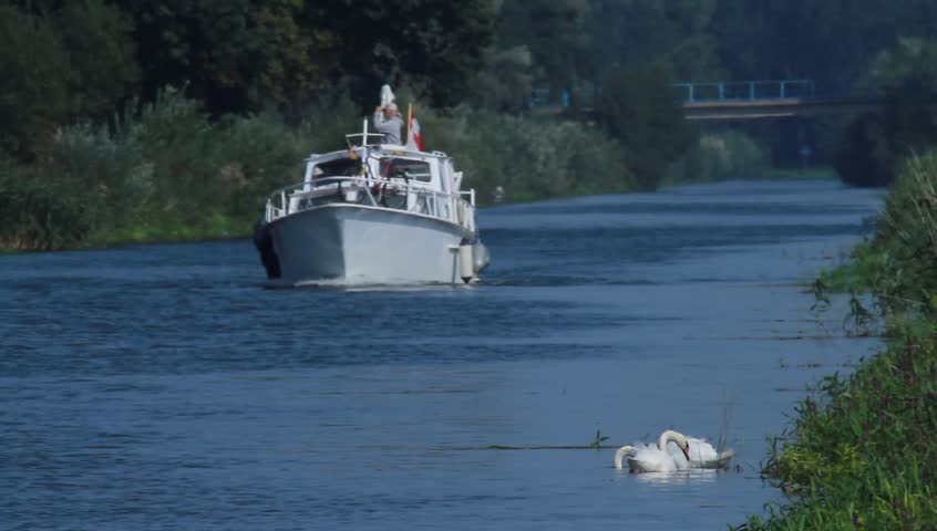 Boat and Swans