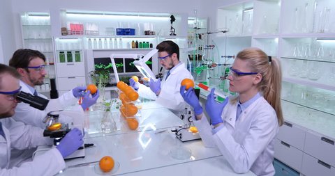Team of Biologists Injecting New Treatment to Orange Fruit in Botany Laboratory