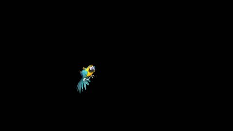Parrot Flies Alpha Matte 3D Rendering Top Animation Animals