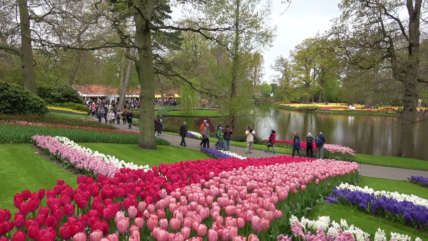 keukenhof netherlands - april 2017 tourists Stock Footage Video (100% ...