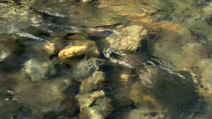 Fresh, cold, clear creek flowing briskly over its stream bed of rocks of varied