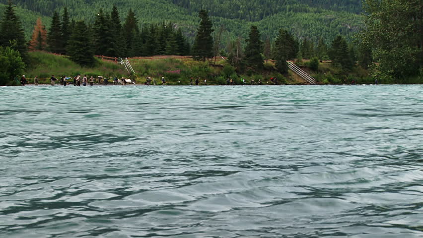 A sockeye (red) salmon leaps out of the water in the foreground as anglers in