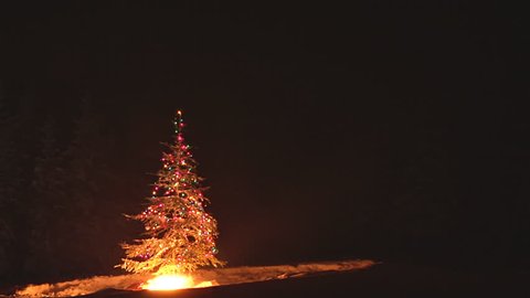 Time-lapse of an outdoor Christmas Tree burning